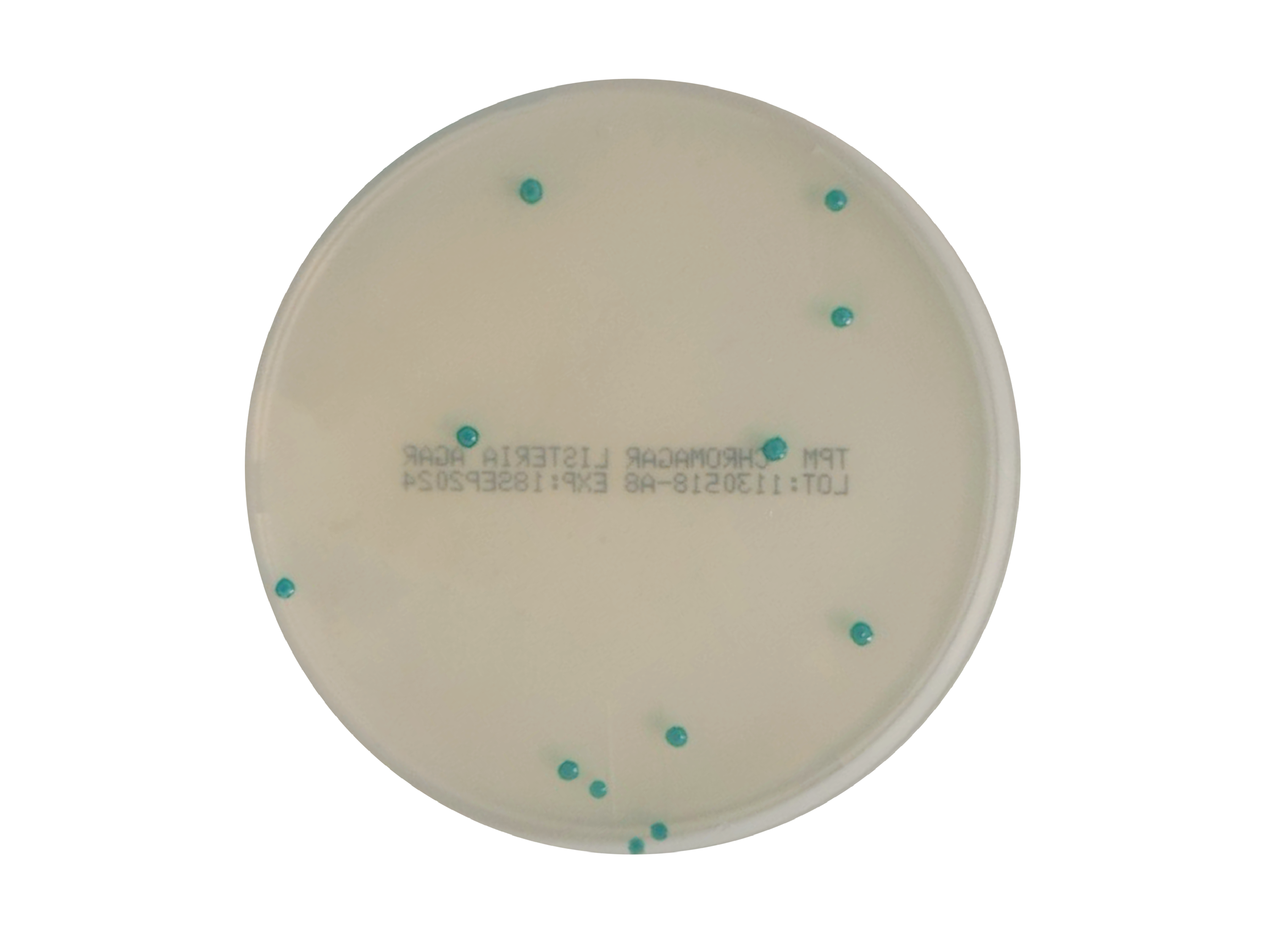 CHROMagar Listeria